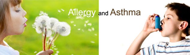 allergia és asztma
