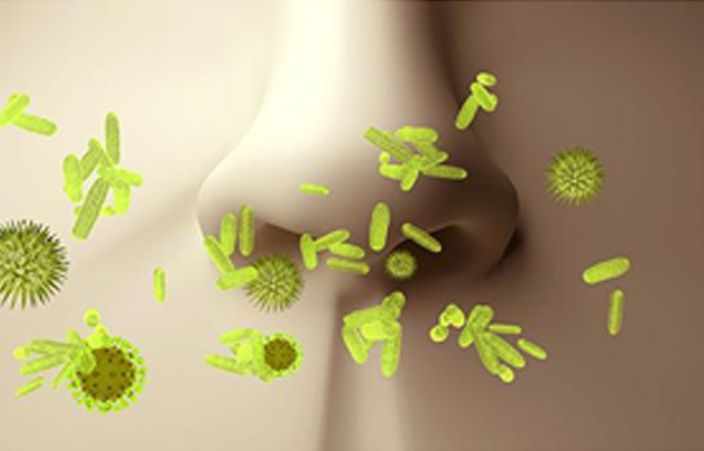 Baktérium és vírus az orrban