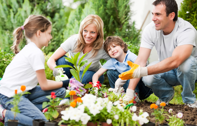családi kertészkedés