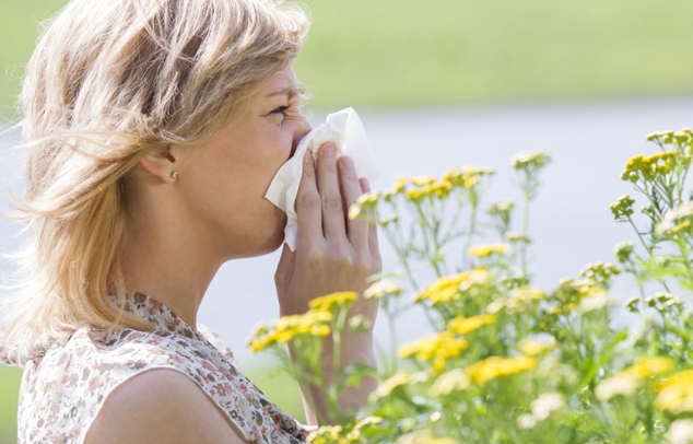 szénanátha, pollen, allergia