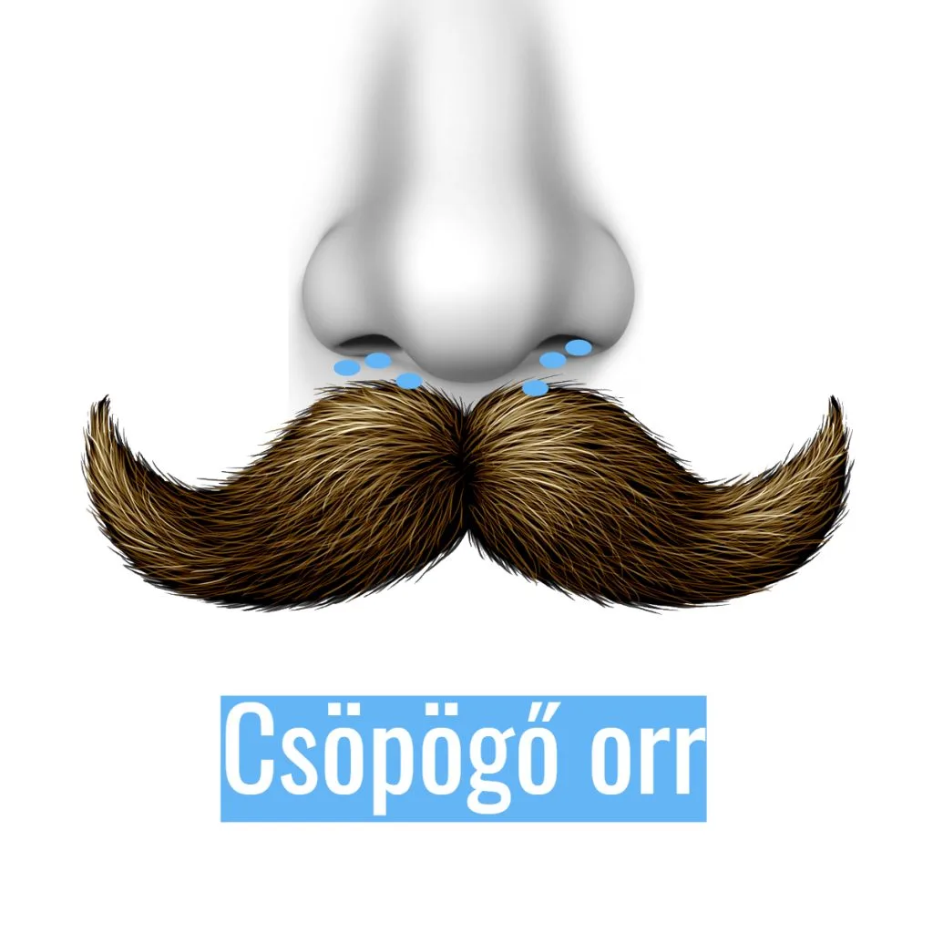 Szakállas férfiaknak - Allergiás orrfolyás és orrdugulás elleni párna 2 az 1-ben - Image 4