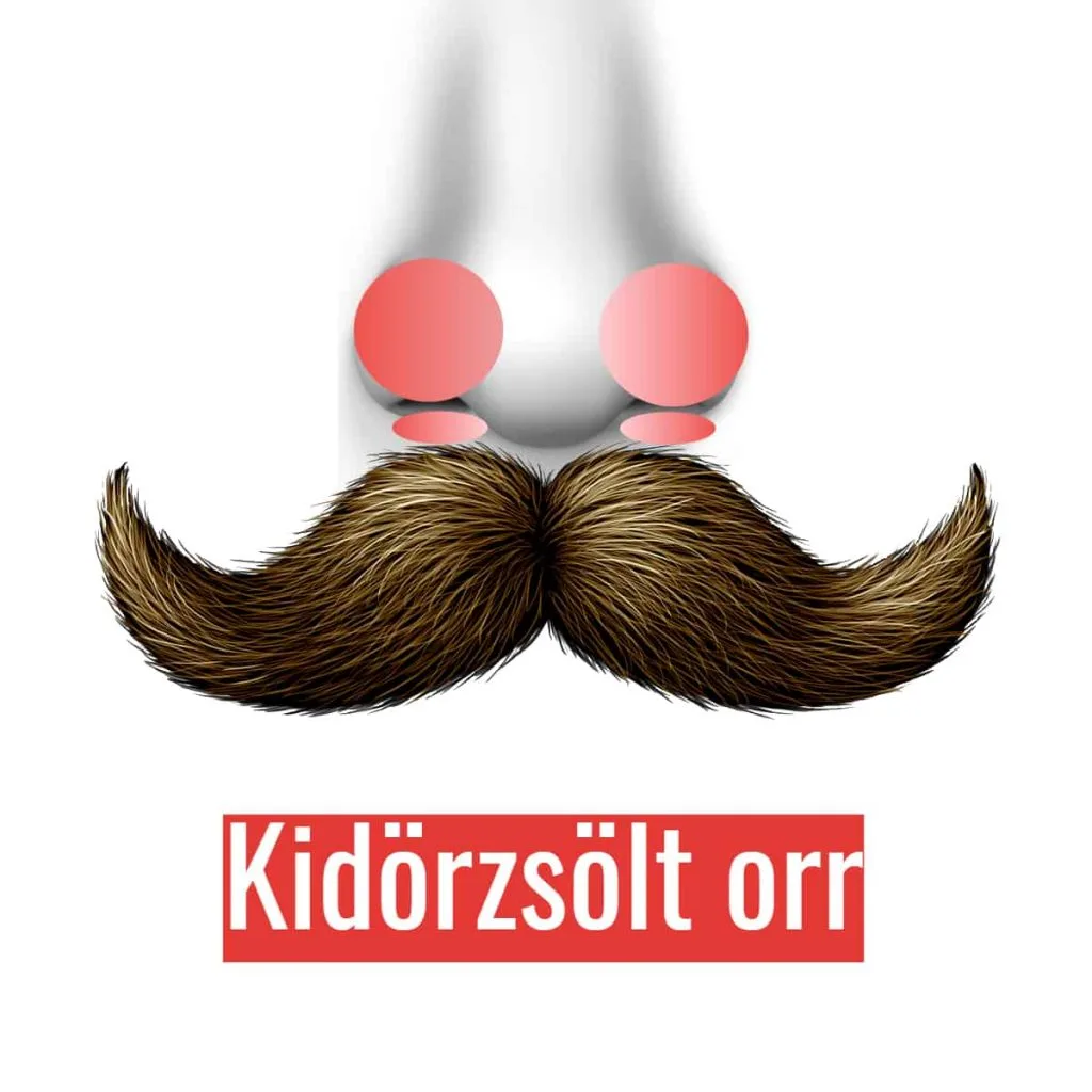 Szakállas férfiaknak - Allergiás orrfolyás és orrdugulás elleni párna 2 az 1-ben - Image 3